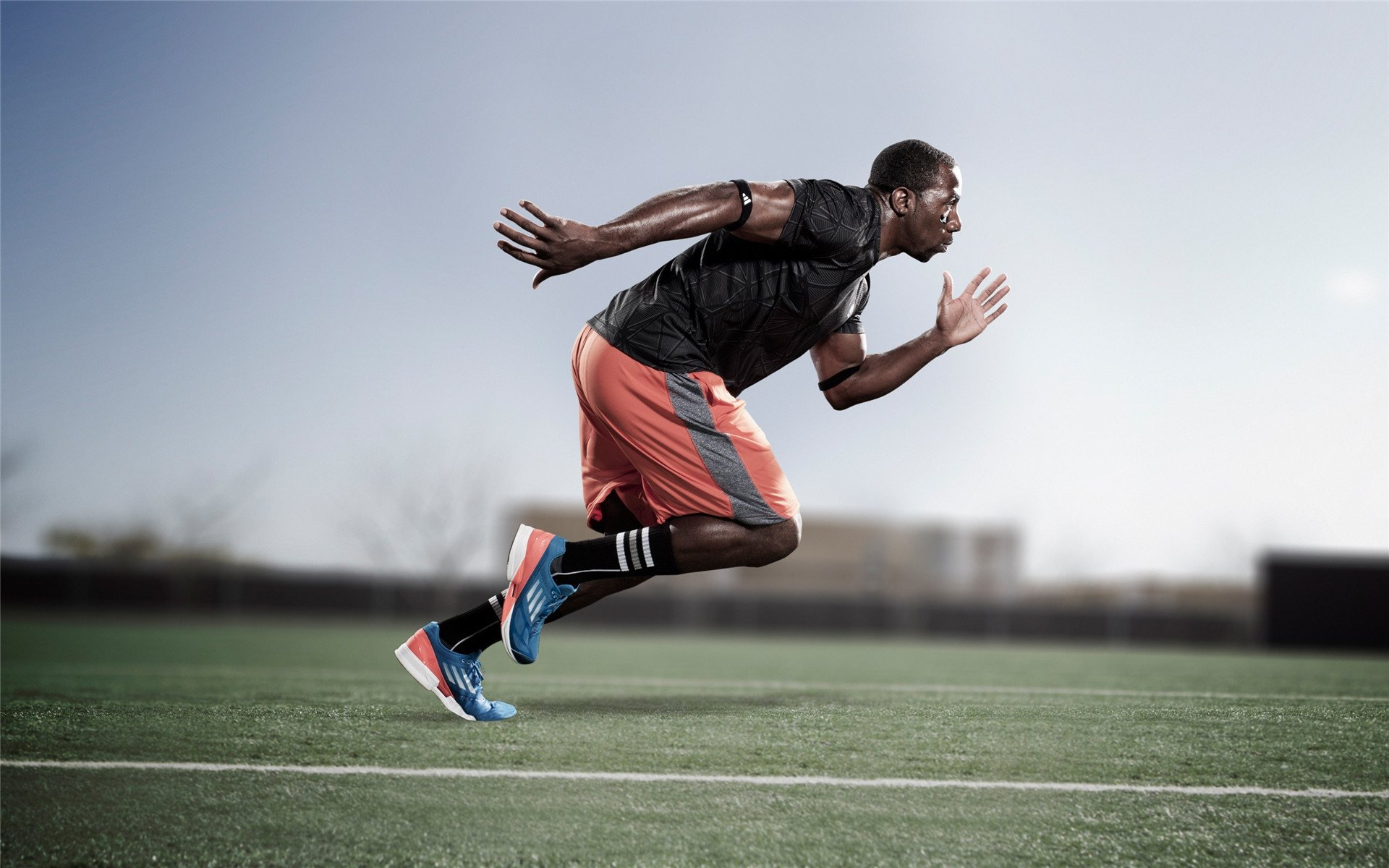 体育赛事收视率排行